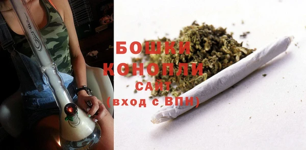 прущие грибы Баксан