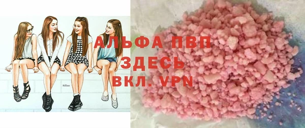 прущие грибы Баксан