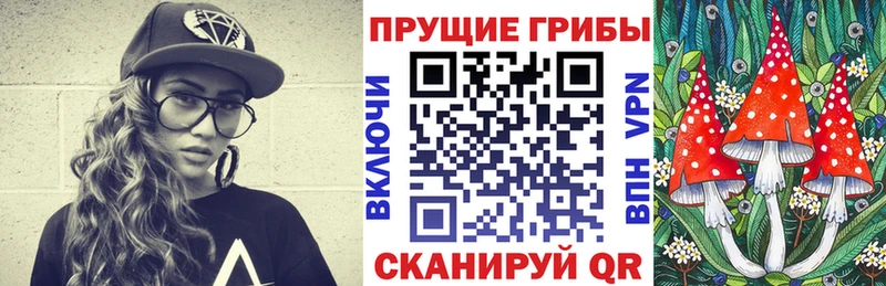 Псилоцибиновые грибы ЛСД  Куртамыш 